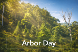 《北風中的暖流》：為未來種下一片森林